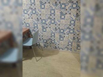 NotYourMuse1 — bongacams