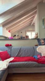 Antonella524 — Cam4 stream photo (Apr 2026)