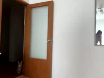 squirt_bunny77 — Chaturbate stream photo (Jul 2026)