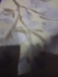 indiancouple659 — Stripchat stream photo (May 2026)