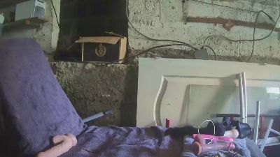 Ineschoco — webcam model online on cam4