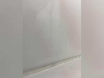 bbunny-ev — bongacams