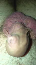 litorale40 — Cam4 stream photo (Apr 2026)