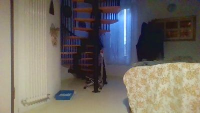 fanc79 — Cam4 stream photo (May 2026)