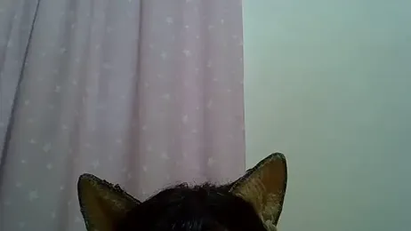 SkinnyKitten — stripchat