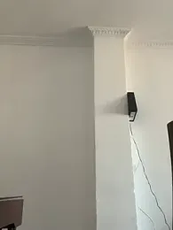 star_anastasia — stripchat
