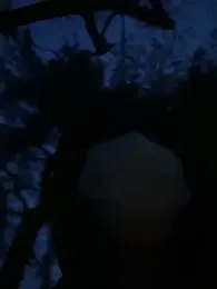 min9811 — Stripchat stream photo (Apr 2026)