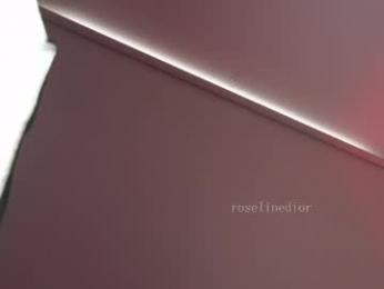 roselinedior — Chaturbate stream photo (Apr 2026)