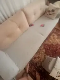takcikarr — Stripchat stream photo (Aug 2026)