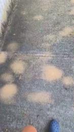 minex2 — Cam4 stream photo (May 2026)