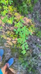 minex2 — Cam4 stream photo (May 2026)
