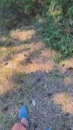minex2 — Cam4 stream photo (Jun 2026)