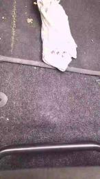 Danyblack1985 — Cam4 stream photo (Apr 2026)