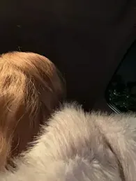 AnastasiaAniess — Stripchat stream photo (Apr 2026)