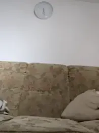 maciej — Stripchat stream photo (Nov 2023)