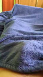 polli_play — Cam4 stream photo (Apr 2026)