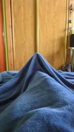 polli_play — Cam4 stream photo (Apr 2026)