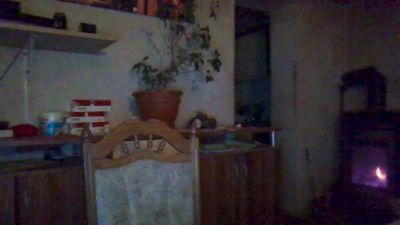 Tannileinchen3 — Cam4 stream photo (Jul 2026)
