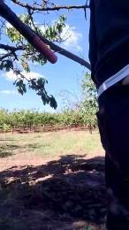 uncutcockitaly — webcam model online on cam4