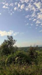 uncutcockitaly — webcam model online on cam4