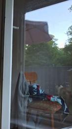 Doperman — Cam4 stream photo (Jun 2026)