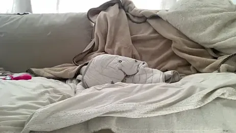 18yoteenvirgin — Stripchat stream photo (Apr 2026)