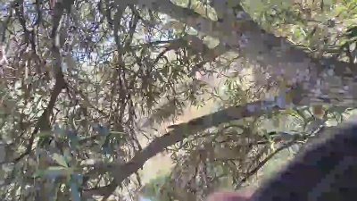 X_joven20madr1 — Cam4 stream photo (May 2026)
