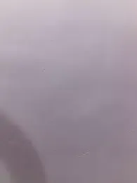 Cute_palak001 — Stripchat stream photo (Apr 2026)