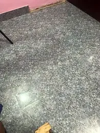 Cute_palak001 — Stripchat stream photo (Apr 2026)