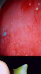 Sweetfox45 — Cam4 stream photo (Apr 2026)