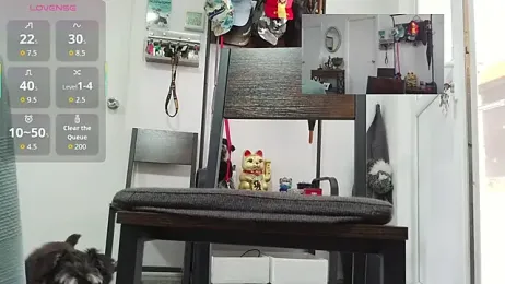 DaddybearVLC — Stripchat stream photo (Jul 2026)