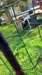 luxxuriax — Cam4 stream photo (Apr 2026)