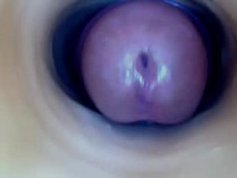 paulainoscente — Chaturbate stream photo (Oct 2026)
