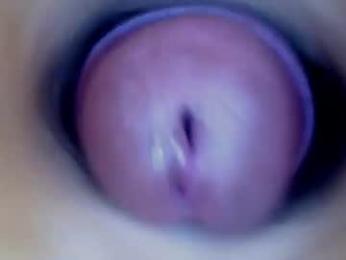 paulainoscente — Chaturbate stream photo (Oct 2026)