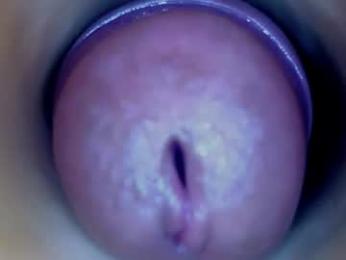 paulainoscente — webcam model online on chaturbate