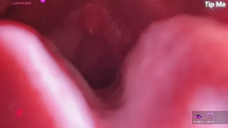 donghuangtaiyi--- — webcam model online on stripchat