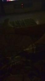 Poyon335 — Cam4 stream photo (Aug 2026)