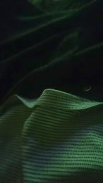 Poyon335 — webcam model online on cam4