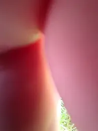 nataliecdlive — Stripchat stream photo (May 2026)