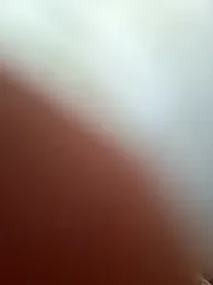 SophiaBlackfoxx — Stripchat stream photo (Mar 2026)