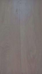 Missmyli — Cam4 profile photo