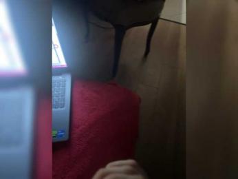 OlyaCharme — Bongacams stream photo (Mar 2026)