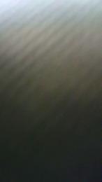 Superworms — Cam4 stream photo (Jun 2026)