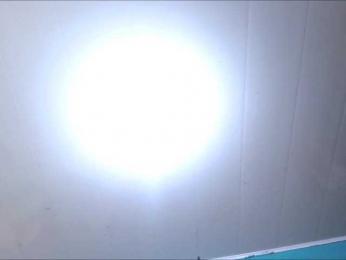 LeoAndKali — Bongacams stream photo (Apr 2026)