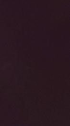 Scalareale66 — webcam model online on cam4