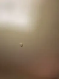 high3ndlowlife — webcam model online on stripchat