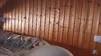 Anabel_curvy — webcam model online on cam4