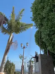 MrAndMrsSavage — webcam model online on stripchat