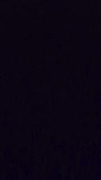 Penele — Cam4 stream photo (Apr 2026)