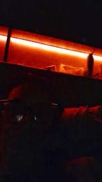 Penele — Cam4 stream photo (Apr 2026)